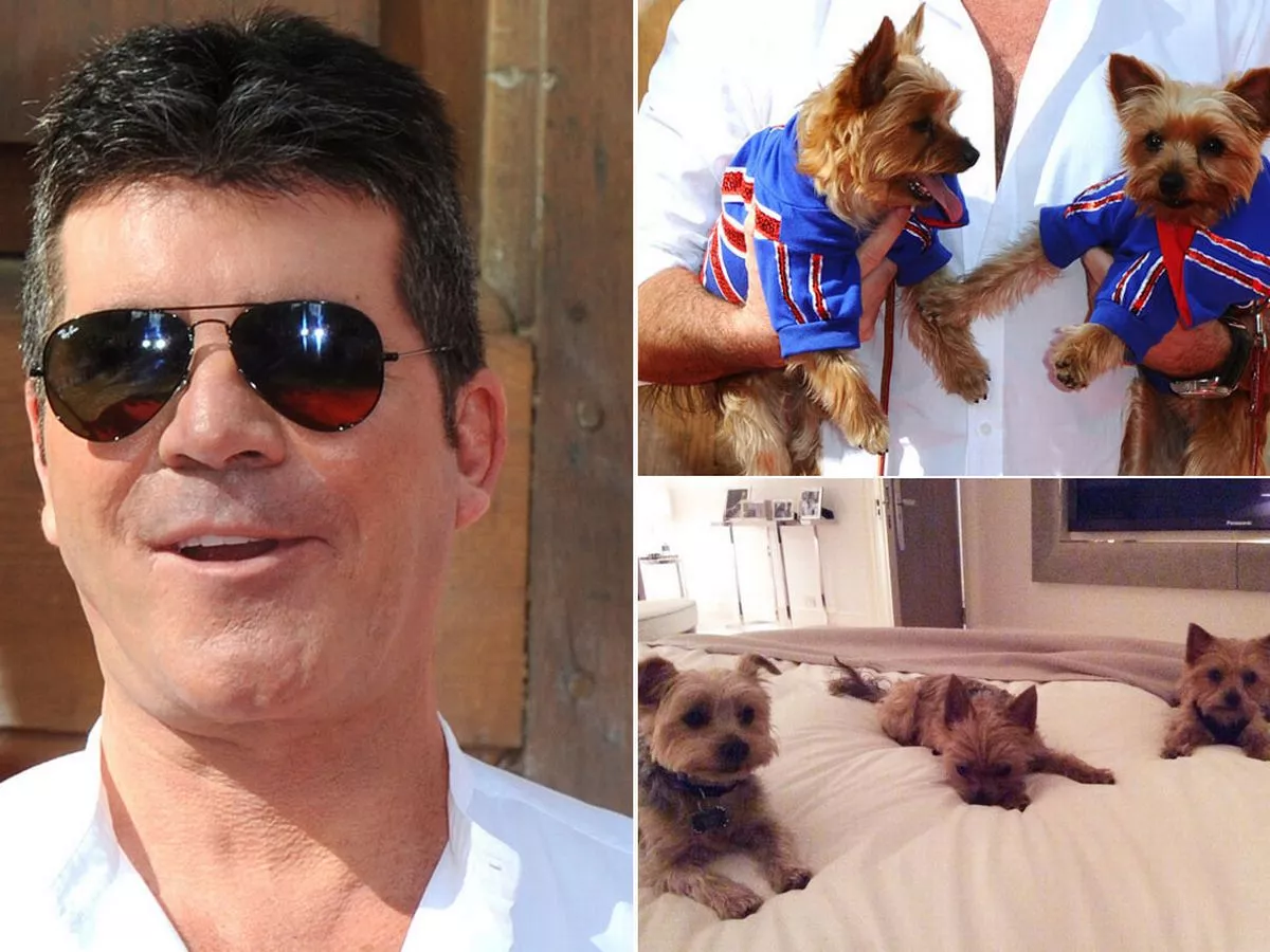 Simon Cowell Fans Can’t Get Over How Huge His Dog Looks Next to Him in Viral Photo